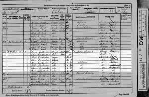  1881 census.Crookenden