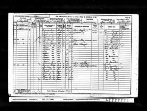  1901 Census - Atkinson A
