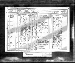  Census 1891 Bavin