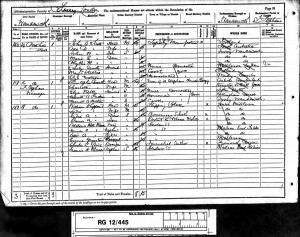  Census 1891 Rowe and Shepherd