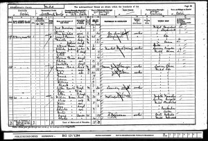  Census 1901.Paines