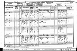  Census 1901.Pogose