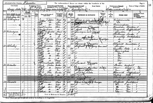  Census 1901 Schwaben
