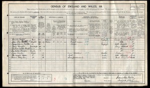  Census 1911.George Fulton