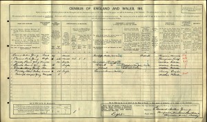  Census 1911.Young