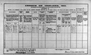  Irish Census 1911.Nixon